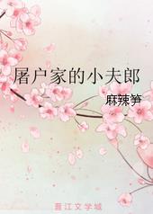 《屠户家的小夫郎》