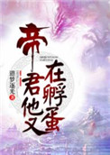 帝君他又在孵蛋20章完整版