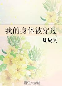 《我的身体被穿过》作者:珊瑚树