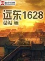 远东1628下载