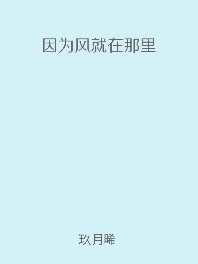 因为风就在那里百度网盘