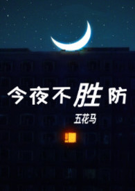 今夜不胜防小说结局什么意思