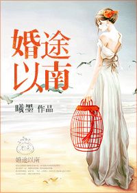 婚途以南讲什么