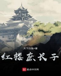 红楼庶长子起点