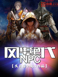 风华绝代NPC 聚合中文网