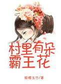 村里有朵霸王花讲什么