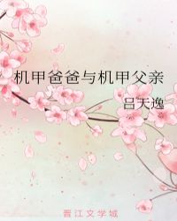 机甲爸爸与机甲父亲txt百度网盘