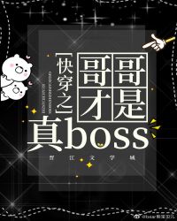 快穿之哥哥才是真 boss