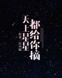 天上星星都给你摘 小说