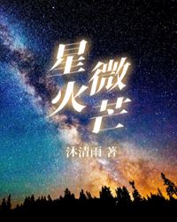 星火微芒小说全文免费阅读