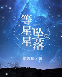 等星星坠落小说全文免费阅读晋江