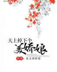 天上掉下个美娇娘 无错节全文免费下载