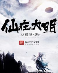 大明仙师小说