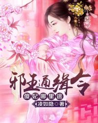 邪王通缉令傻妃哪里逃t×t