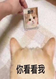 归舟对仗什么