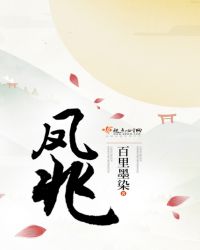 凤兆免费阅读全文