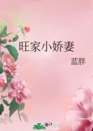 旺家小娇妻蓝胖子小说