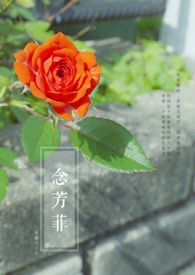 芳菲之小念