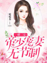 一婚二宝帝少宠妻无节制小说