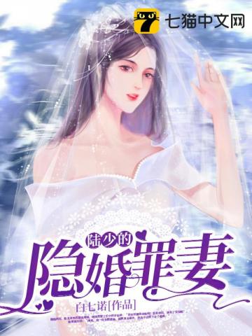 陆少的隐婚罪妻全集完整版