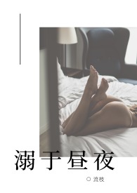 溺于昼夜小说作者流枝