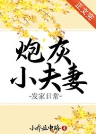 炮灰小夫妻发家日常番外全部