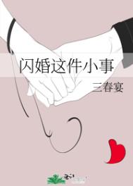 闪婚 小说